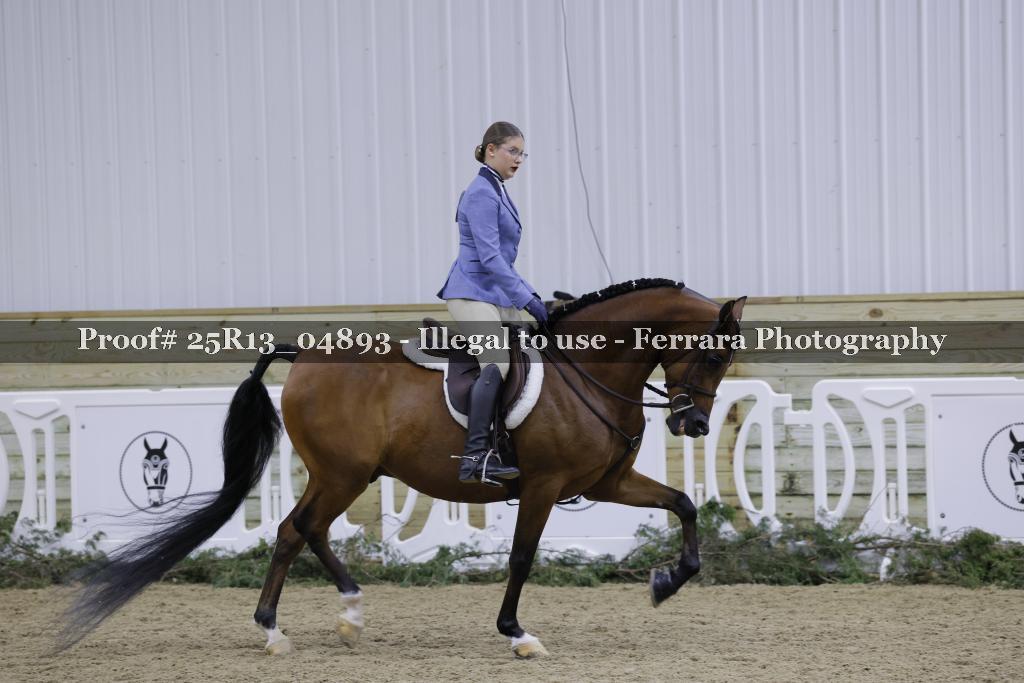 Proof 25R13_04893