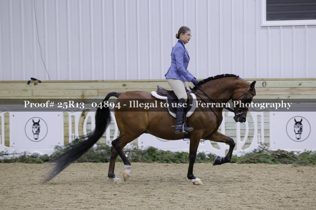 Proof 25R13_04894
