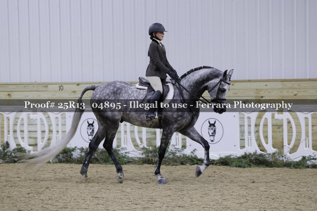 Proof 25R13_04895