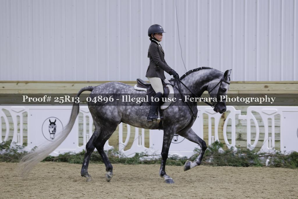 Proof 25R13_04896