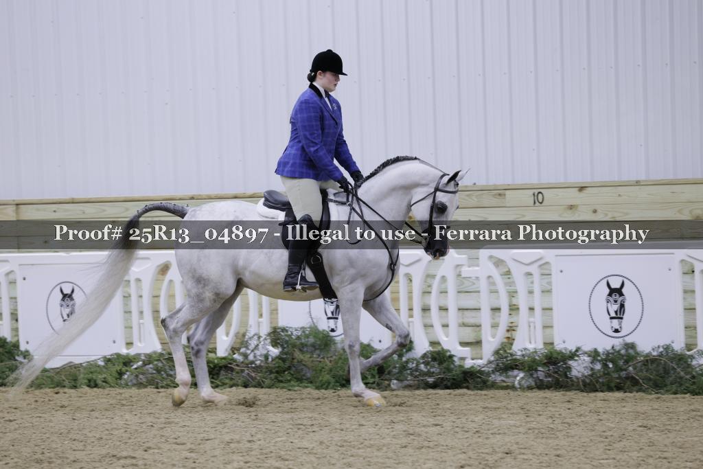 Proof 25R13_04897