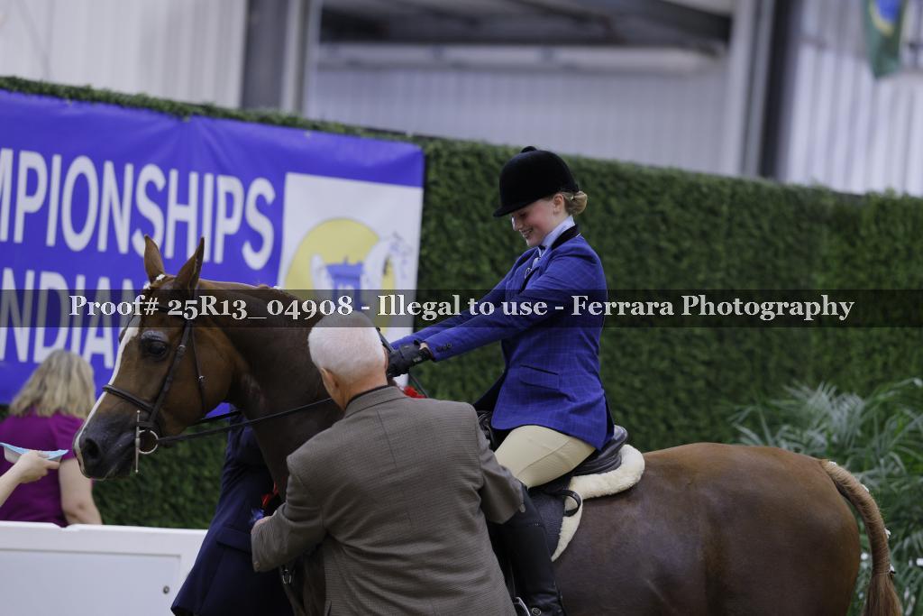 Proof 25R13_04908