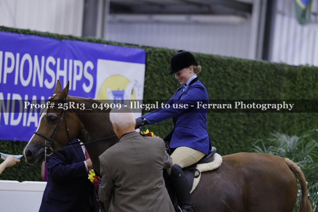 Proof 25R13_04909