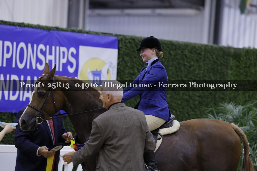 Proof 25R13_04910
