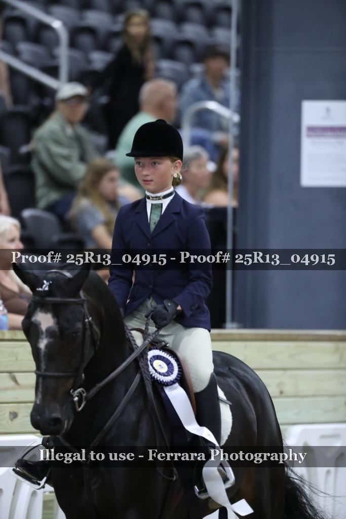 Proof 25R13_04915
