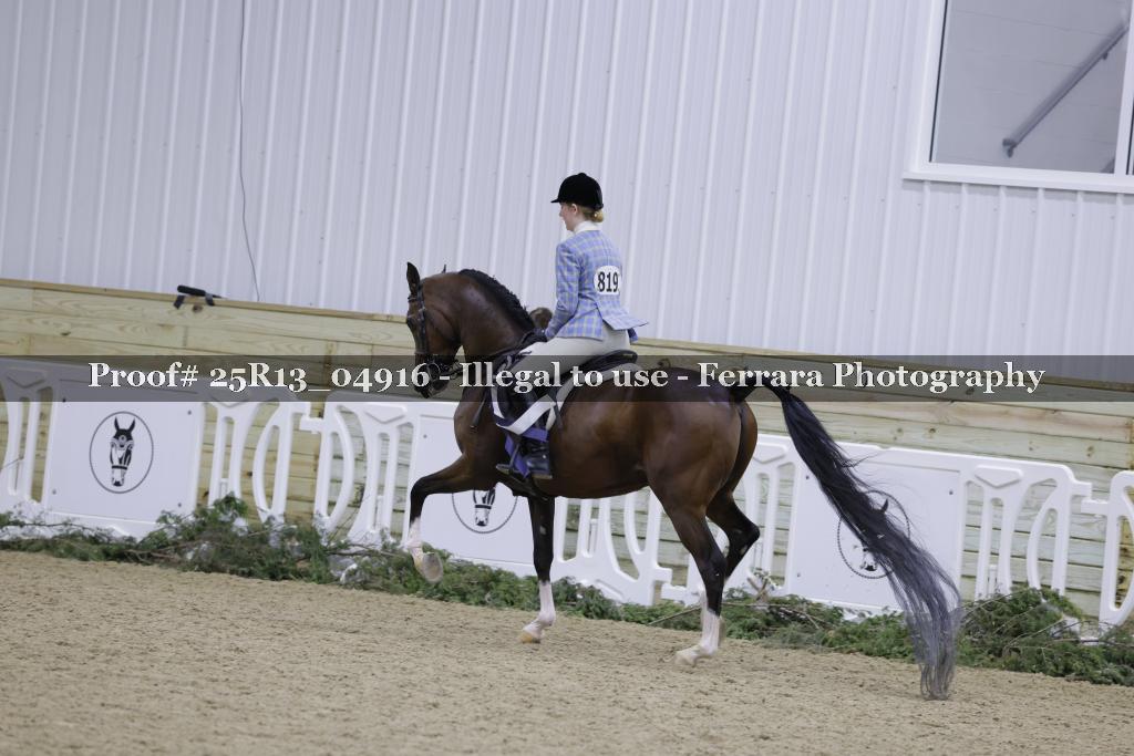 Proof 25R13_04916
