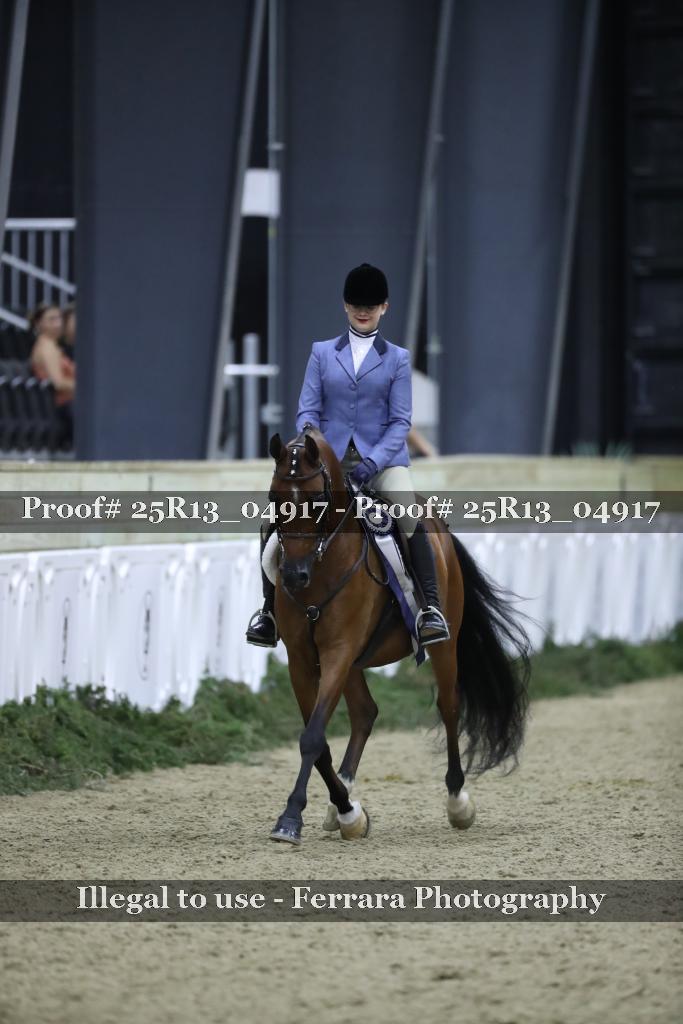 Proof 25R13_04917