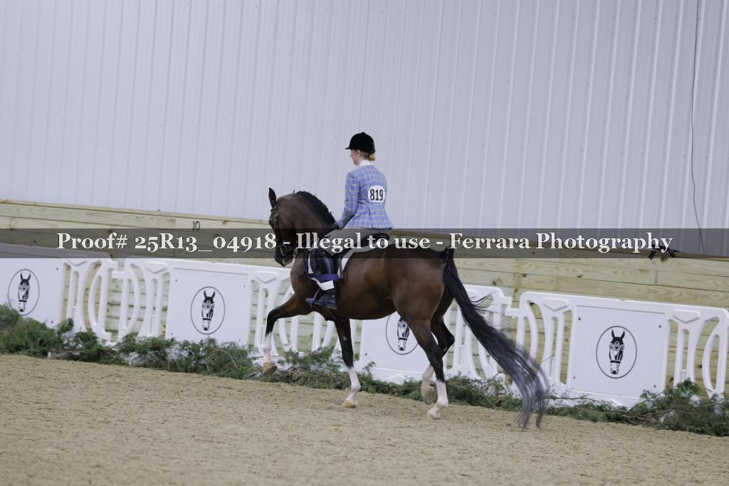 Proof 25R13_04918