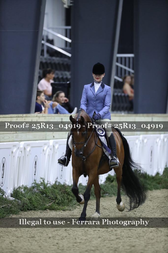 Proof 25R13_04919