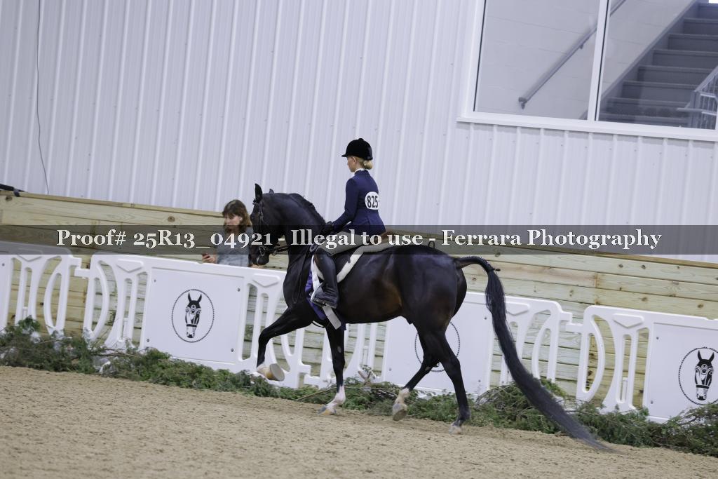 Proof 25R13_04921