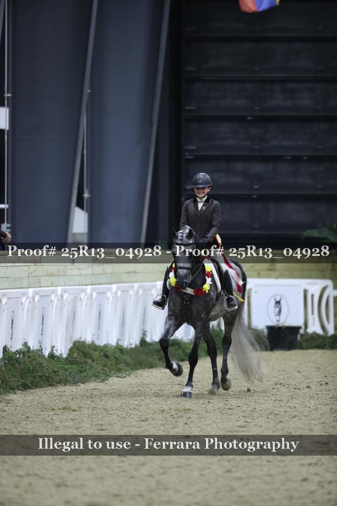 Proof 25R13_04928