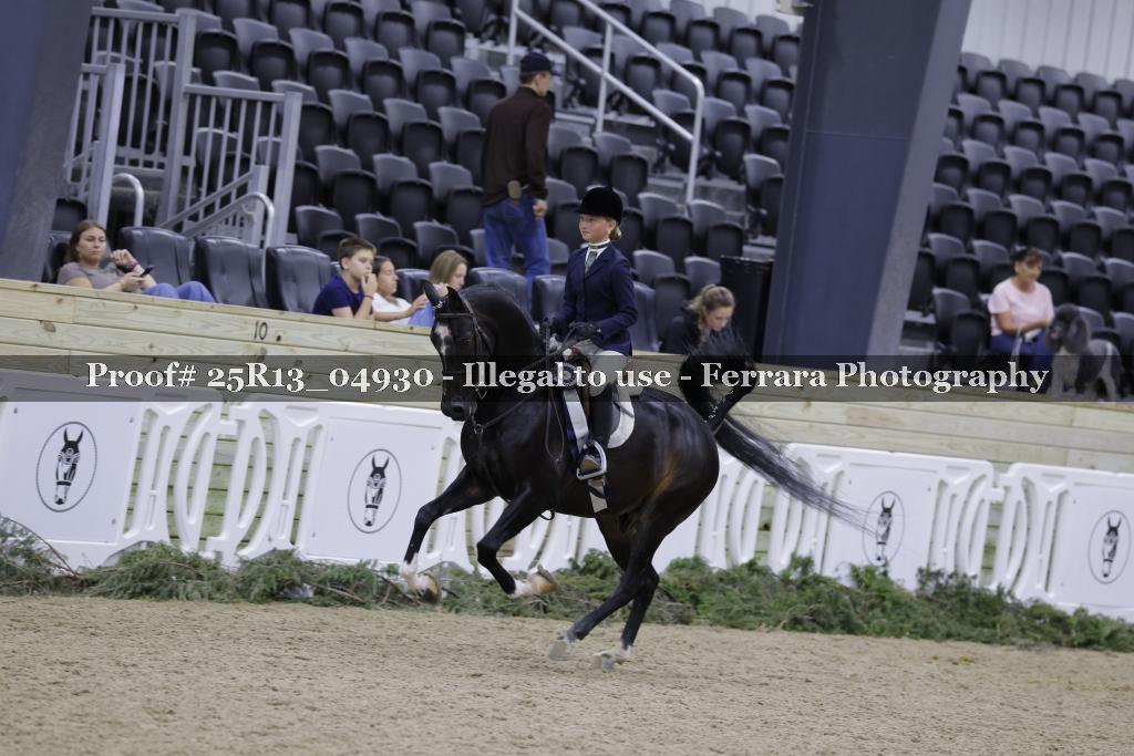Proof 25R13_04930