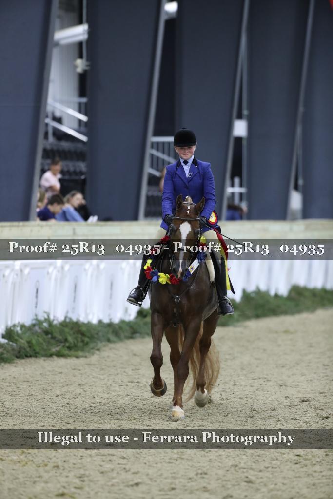 Proof 25R13_04935