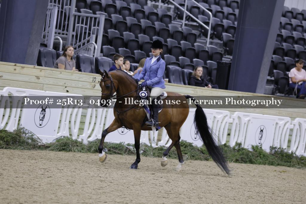 Proof 25R13_04937