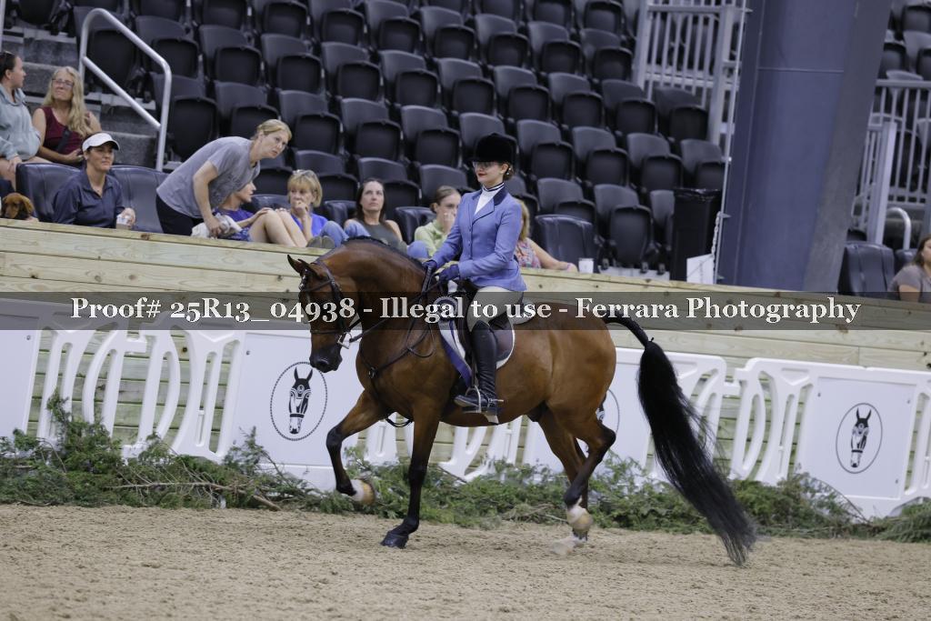 Proof 25R13_04938