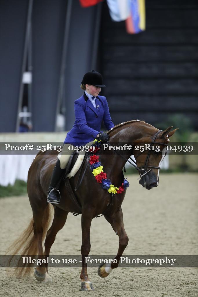 Proof 25R13_04939