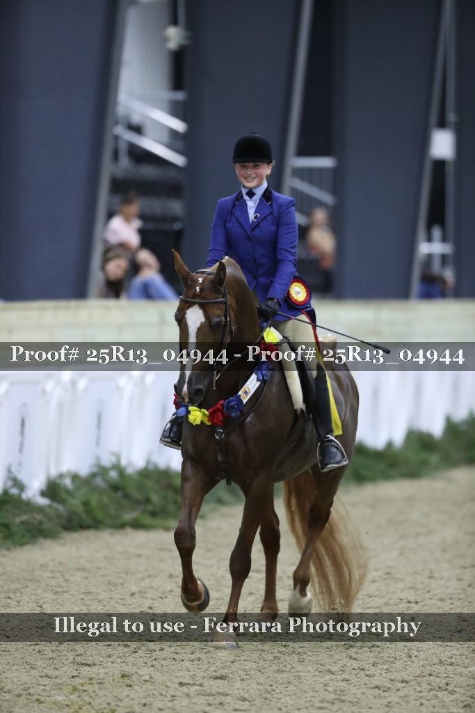 Proof 25R13_04944