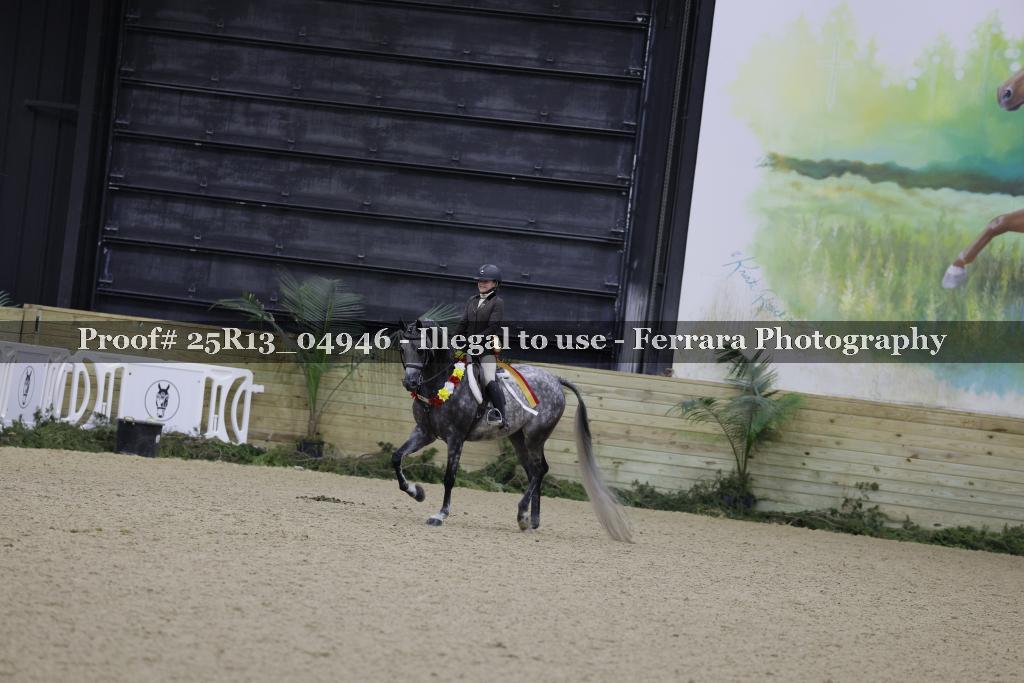 Proof 25R13_04946