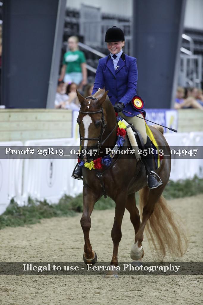Proof 25R13_04947