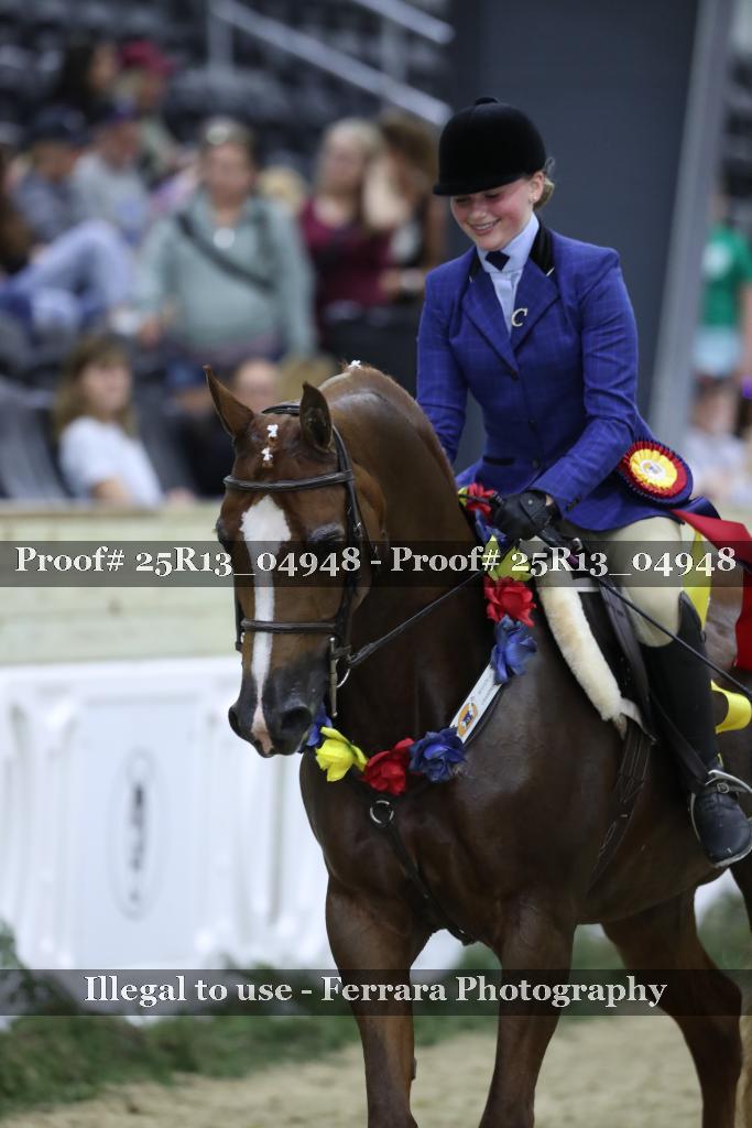Proof 25R13_04948