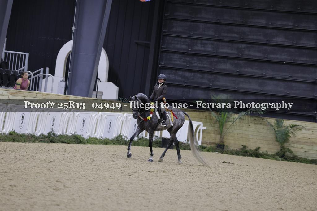 Proof 25R13_04949