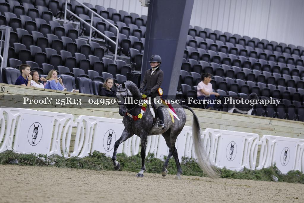 Proof 25R13_04950