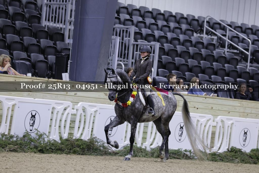 Proof 25R13_04951