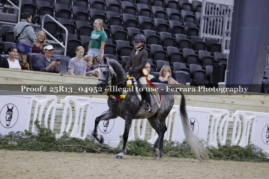 Proof 25R13_04952