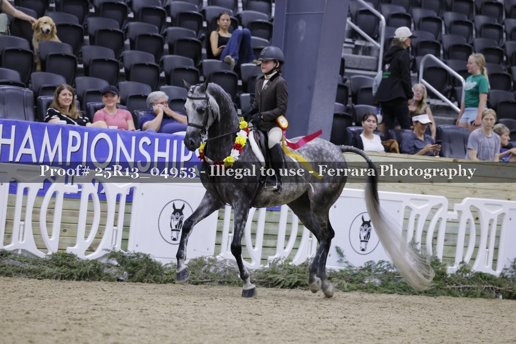 Proof 25R13_04953