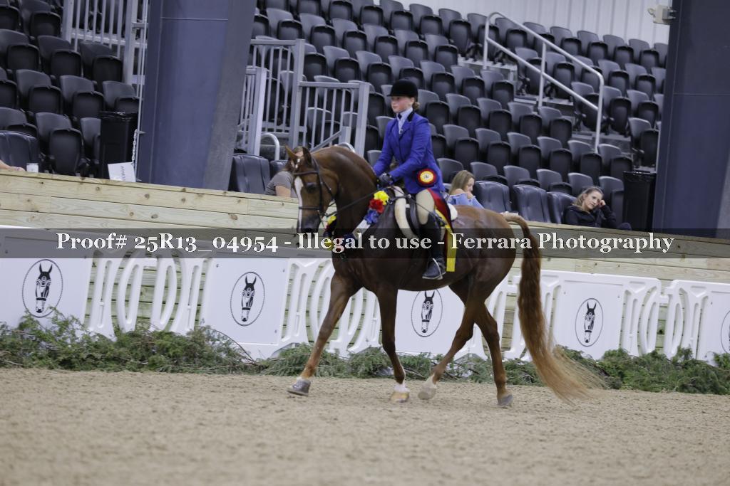 Proof 25R13_04954