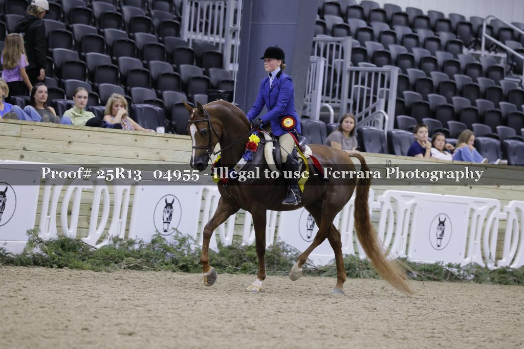 Proof 25R13_04955