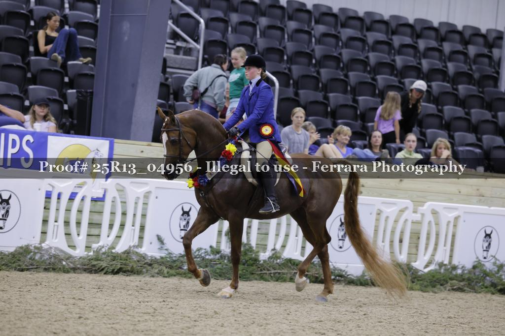 Proof 25R13_04956