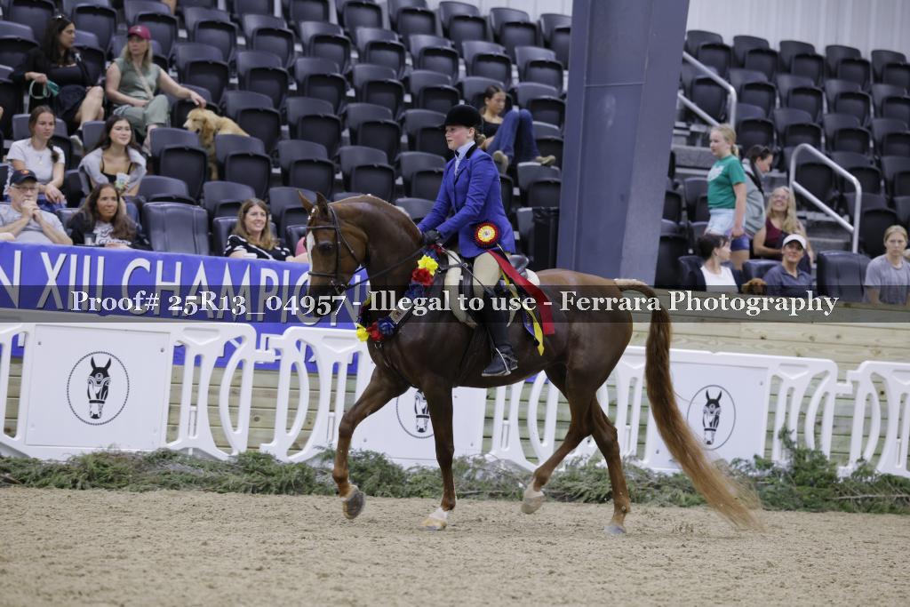 Proof 25R13_04957
