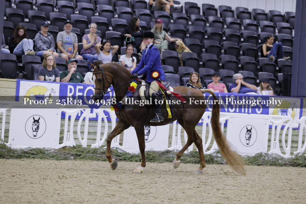 Proof 25R13_04958