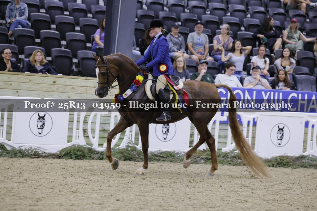 Proof 25R13_04959