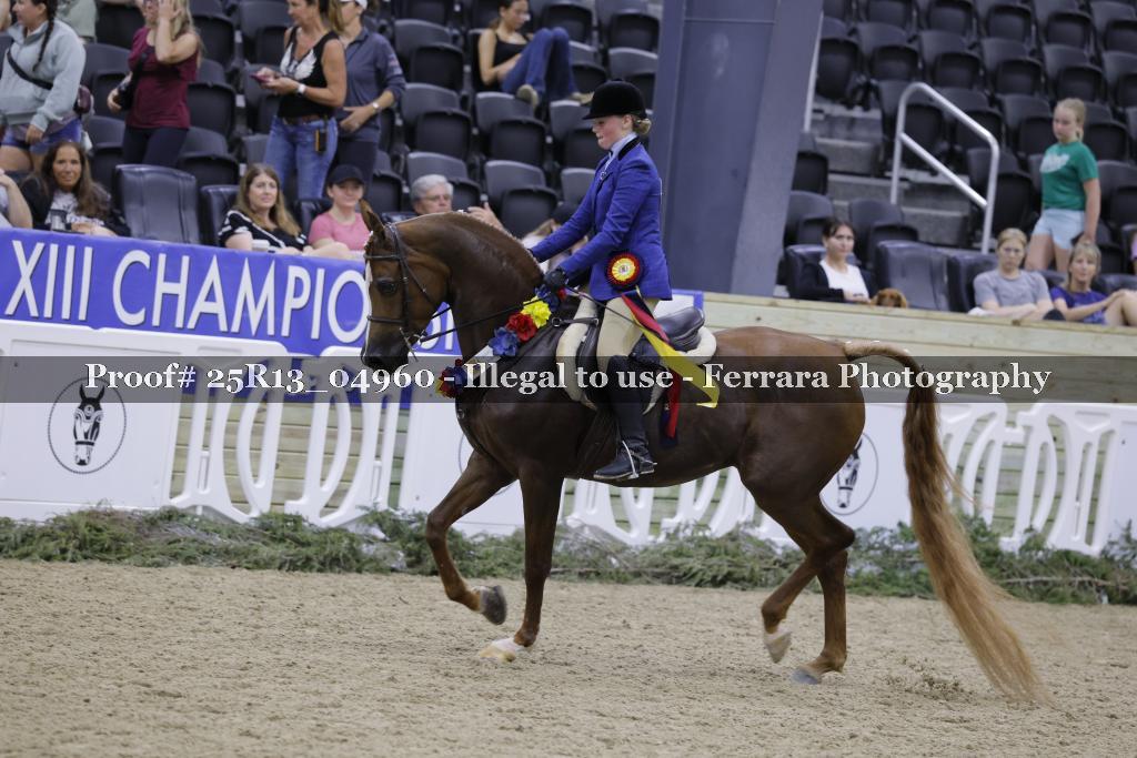 Proof 25R13_04960
