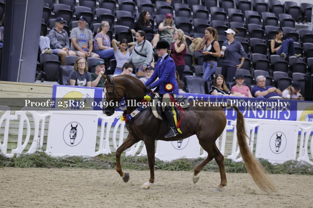 Proof 25R13_04961