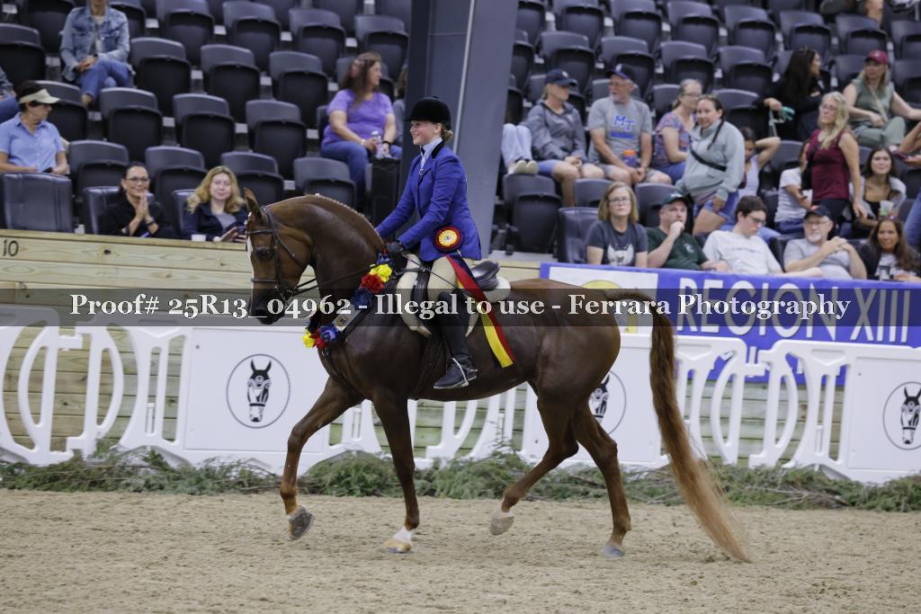 Proof 25R13_04962
