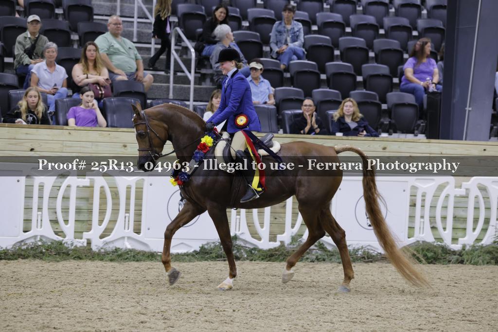 Proof 25R13_04963