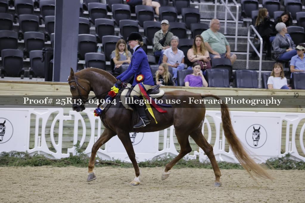 Proof 25R13_04964