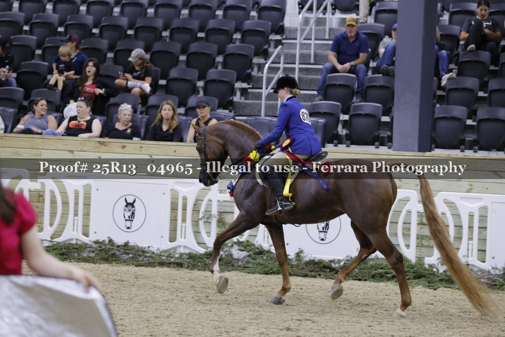 Proof 25R13_04965