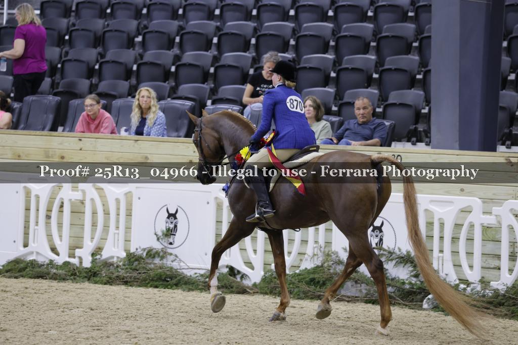 Proof 25R13_04966