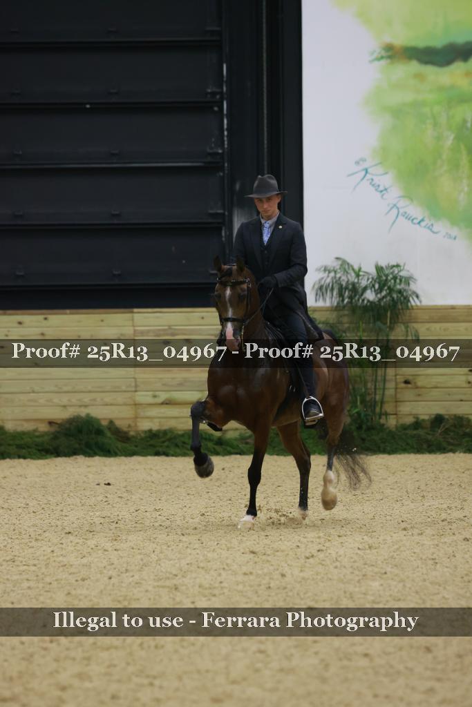 Proof 25R13_04967