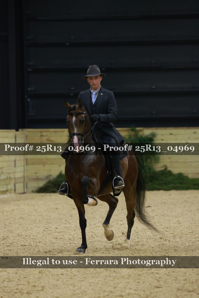 Proof 25R13_04969