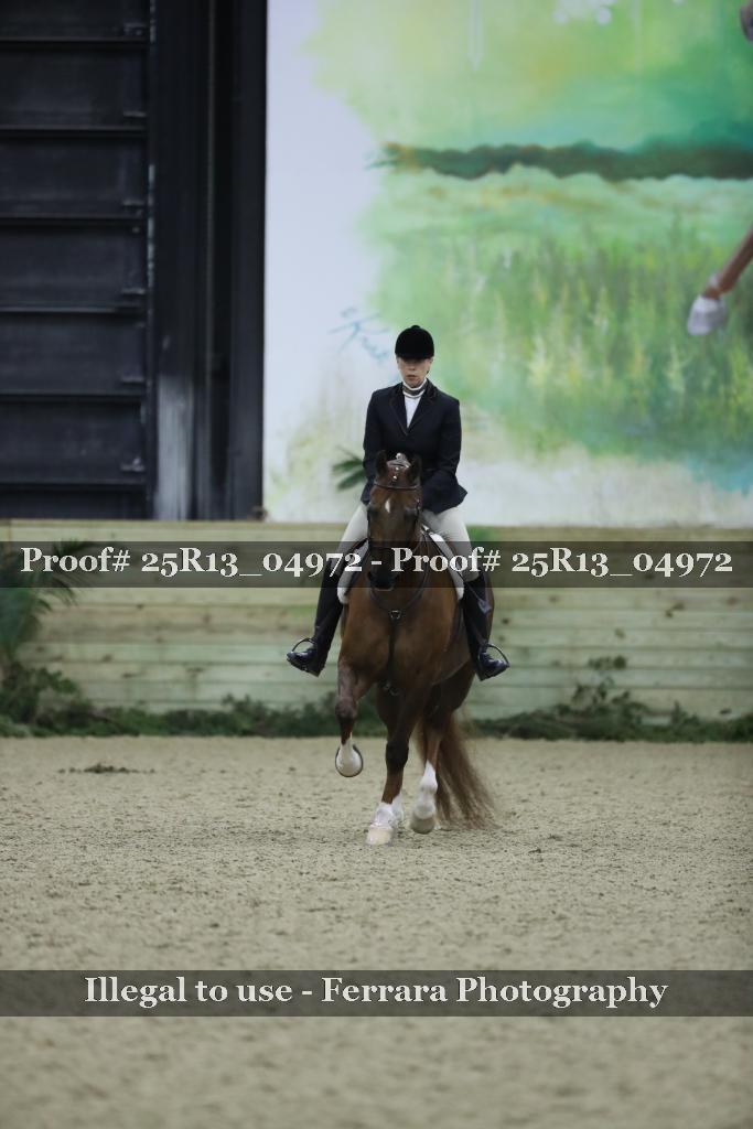 Proof 25R13_04972