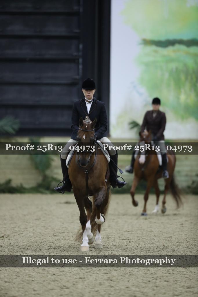 Proof 25R13_04973