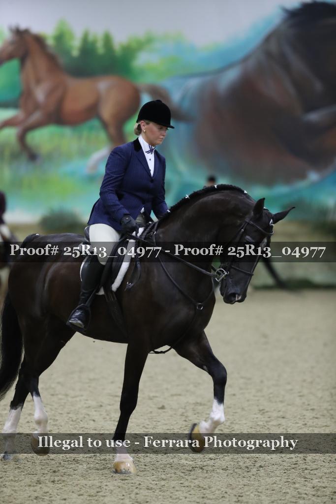 Proof 25R13_04977