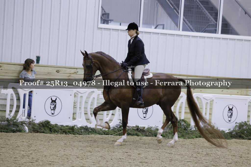 Proof 25R13_04978