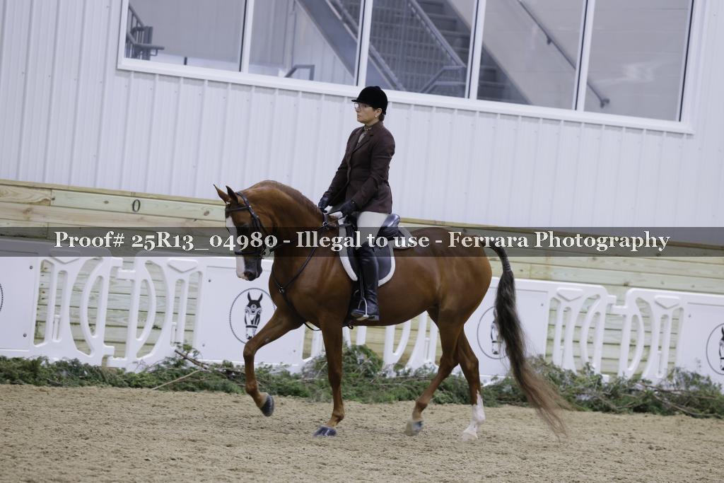 Proof 25R13_04980