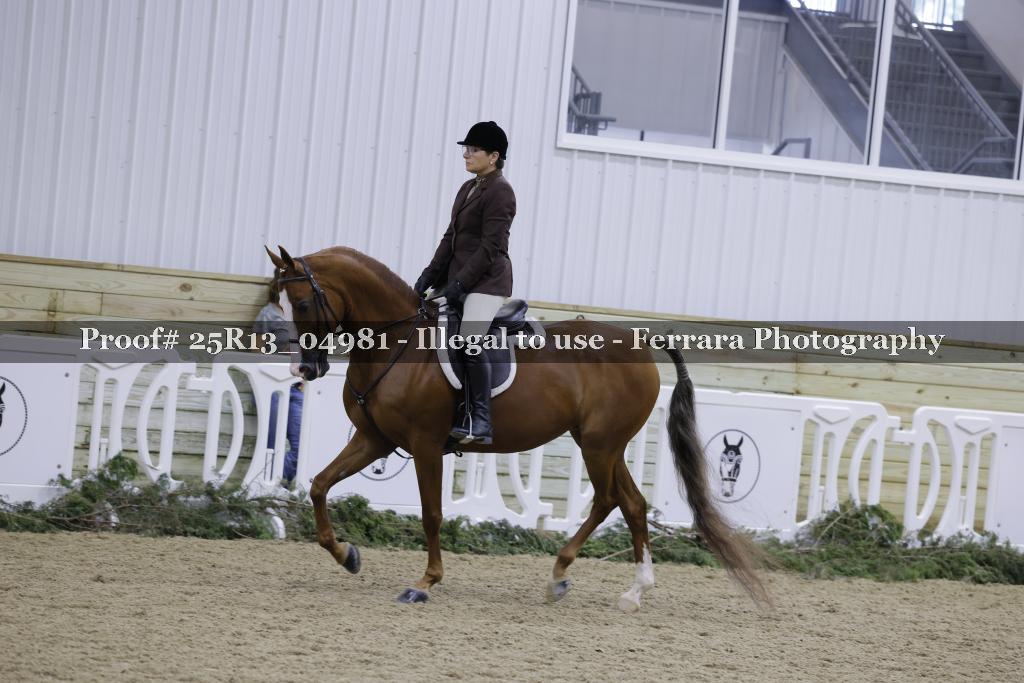 Proof 25R13_04981
